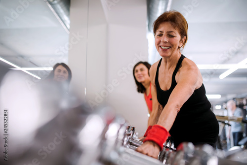 Group of cheerful female seniors in gym doing exercise with dumbbells.