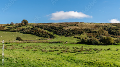 Landscape in the Exmoor National Park between Oare and Porlock, Somerset, England, UK