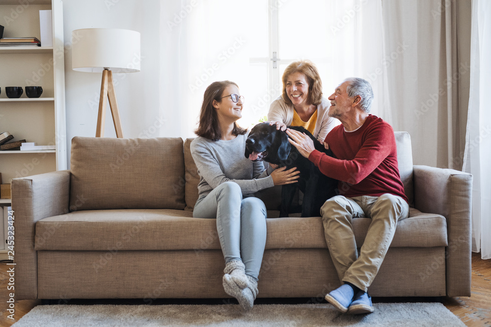 A senior couple with a teenage girl sitting on a sofa with dog at home.