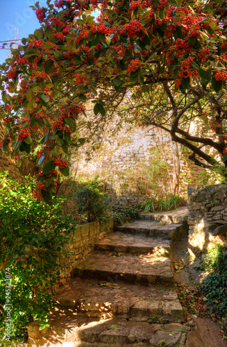 Fototapeta Naklejka Na Ścianę i Meble -  Ruelle à Simiane-la-Rotonde, Alpes-de-Haute-Provence, France