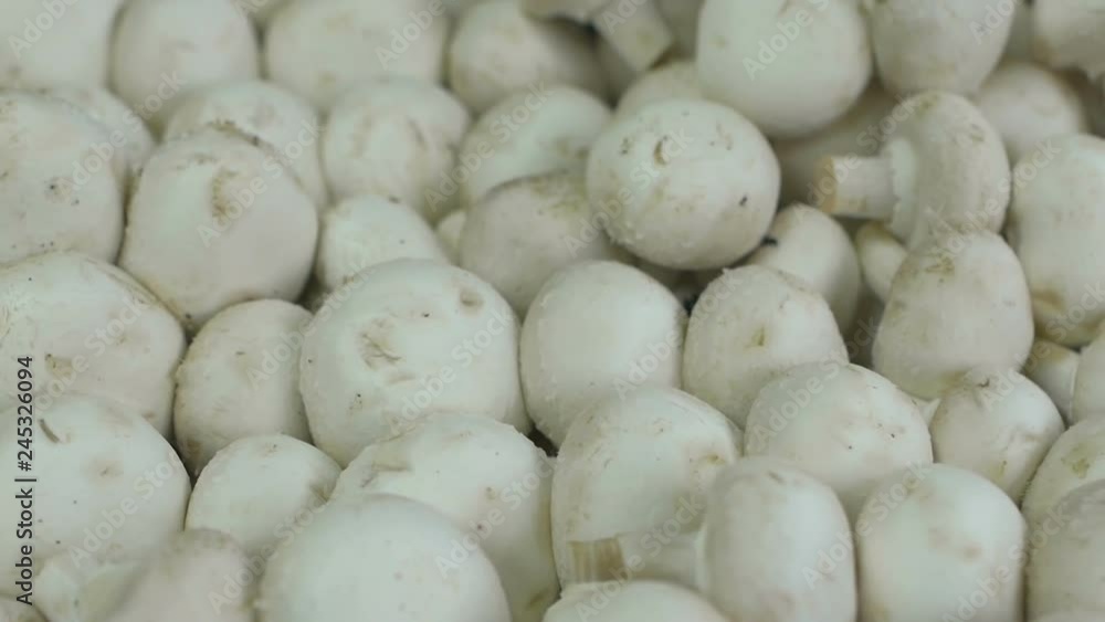 Close up of raw fresh champignon mushrooms are in the box in shop or store Close up of raw fresh champignon mushrooms are in the box in shop or store