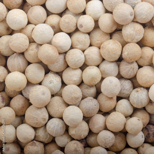 white peppercorn background