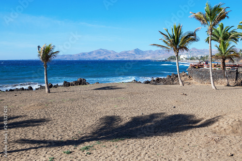 Puerto del Carmen beach in Lanzarote  Canary islands  Spain. blue sea  palm trees  selective focus