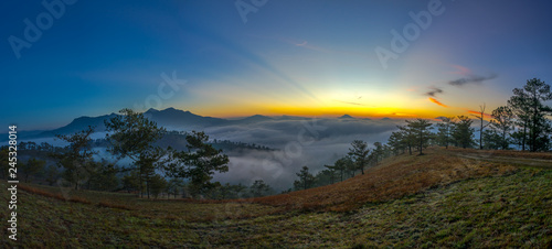 The sun growing up in an early morning at Da Lat city, nice view from top of pine hill, Under the sun, the fog became like gold  © trong