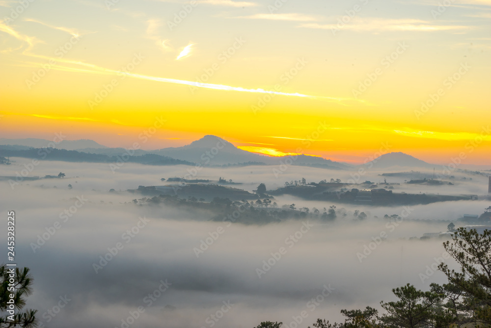 The sun growing up in an early morning at Da Lat city, nice view from top of pine hill, Under the sun, the fog became like gold The sun growing up in an early morning at Da Lat city, nice view from top of pine hill, Under the sun, the fog became like gold