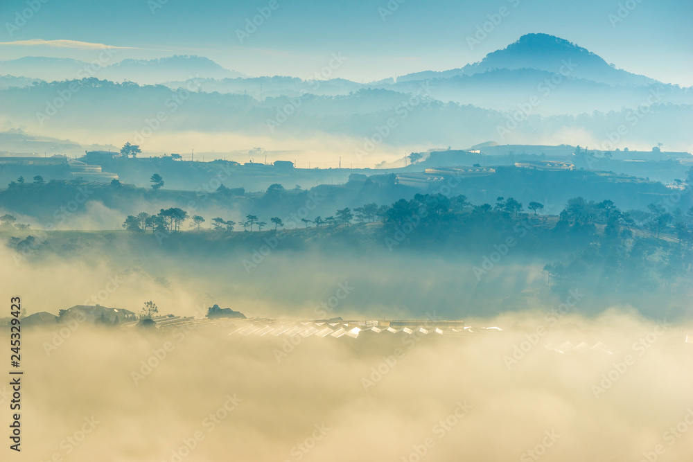 Stockfoto the fog and the sun in an early morning at Da Lat city, the