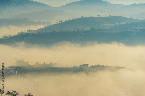 the fog and the sun in an early morning at Da Lat city, the pine hill and greenhouse under the hill in mist