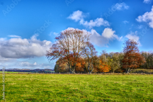 Landscape view of monument area around Stonehenge.HDR. United Kingdom.