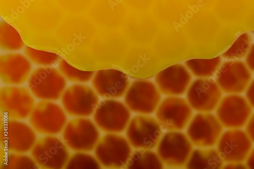 blurred honeycomb with honey background