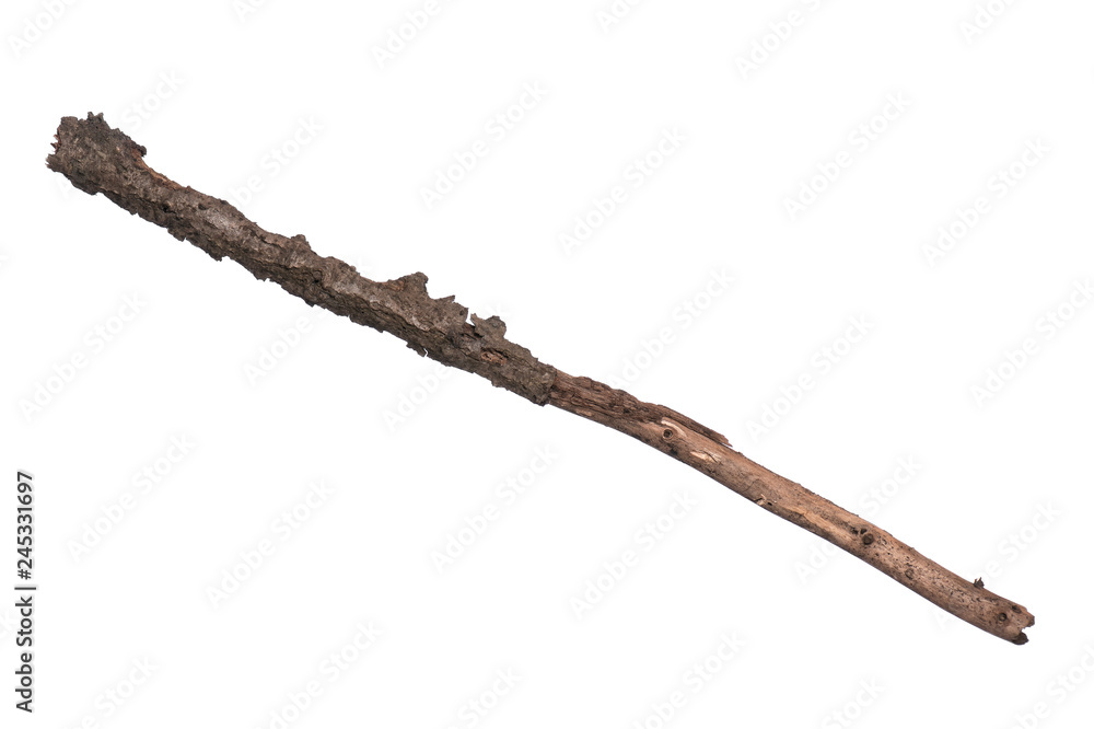 Single dry tree branch, isolated on white background. Stick tree branch from nature for design. Single dry tree branch, isolated on white background. Stick tree branch from nature for design.