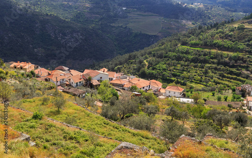 The north of Portugal, region of Douro river