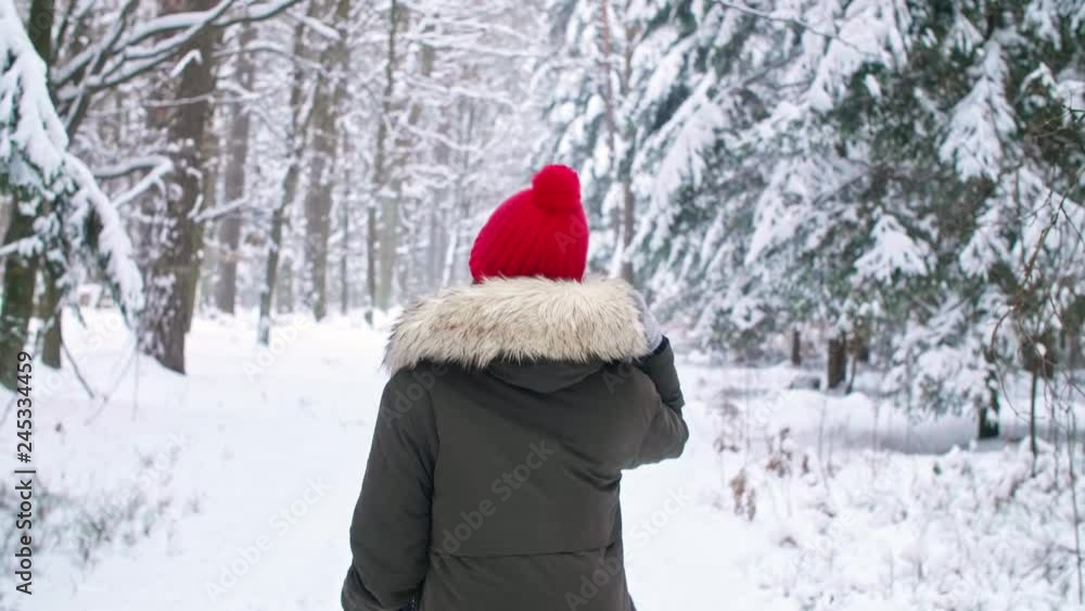 Rear view of woman walking in winter forest Rear view of woman walking in winter forest