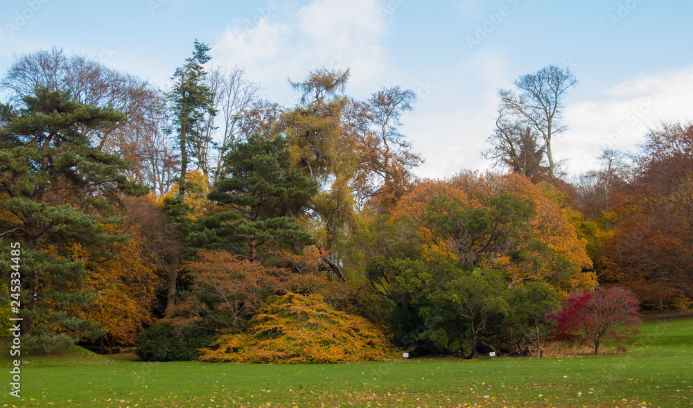 autumn in the park autumn in the park
