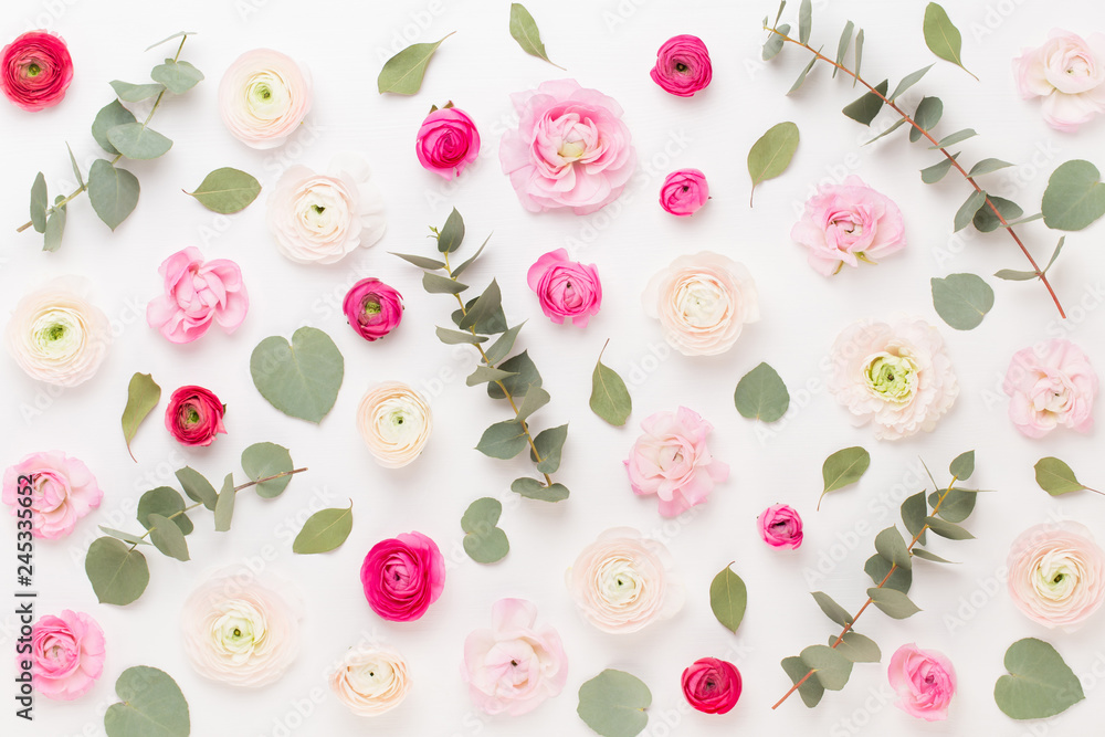 Fototapeta premium Beautiful colored ranunculus flowers on a white background.Spring greeting card.
