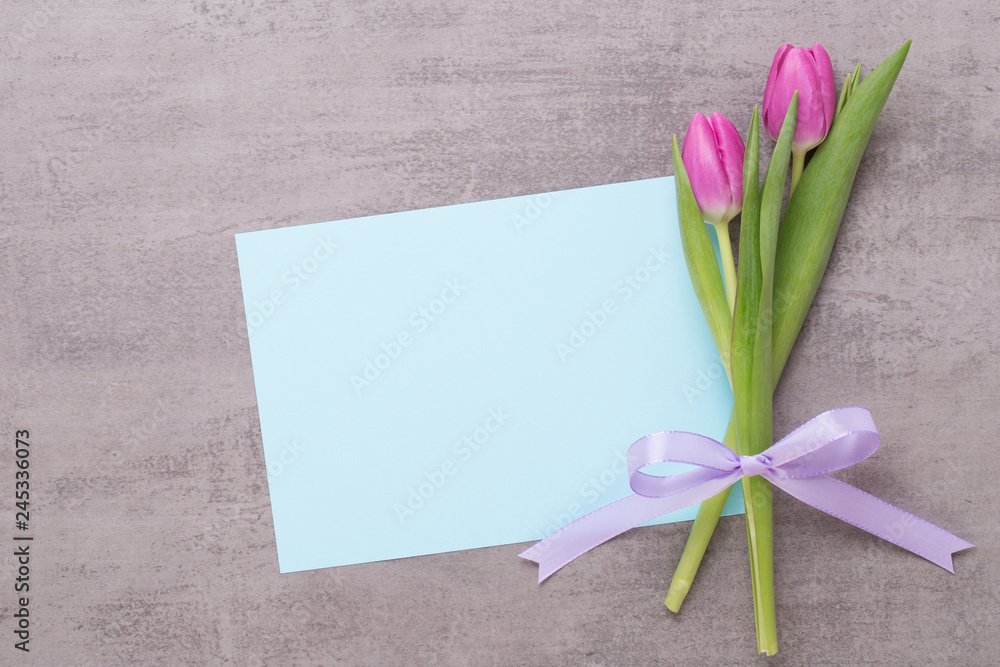 Fototapeta premium Spring greeting card, pink color tulips on the gray background.