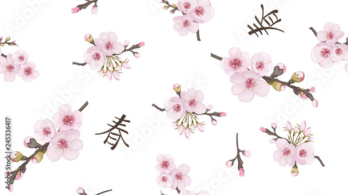 Handmade Seamless pattern in oriental style. Flying sakura flowers. Magenta on white background. Theme design fabric, invitations, packaging, cards. © Irina