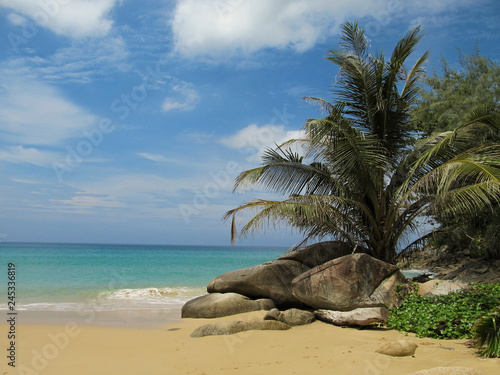 Fototapeta Naklejka Na Ścianę i Meble -  Paradise. Summer holidays on the ocean away from people among the clean sandy beach, blue ocean and beautiful palm trees