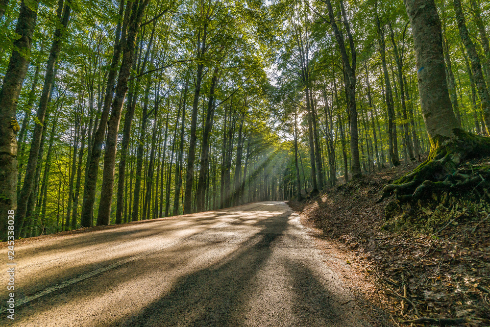 Fototapeta premium parco nazionale d'abruzzo