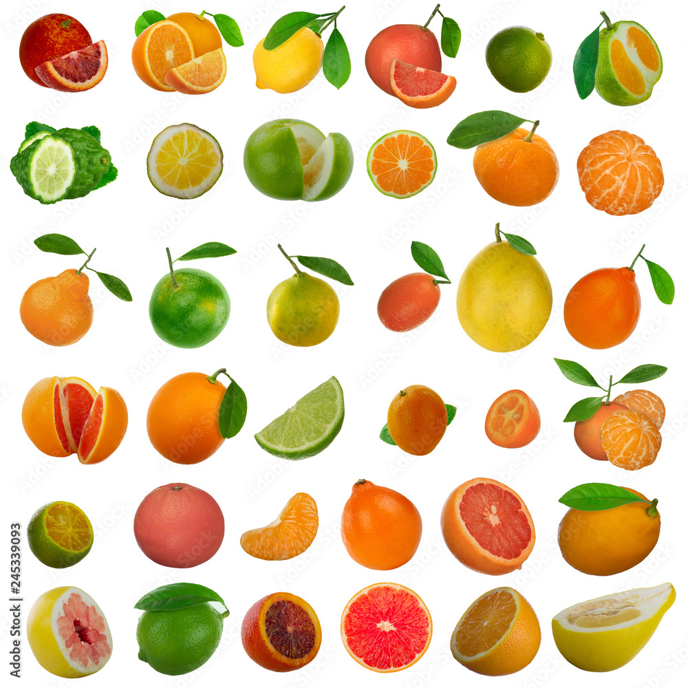 set of citrous fruit isolated on white background