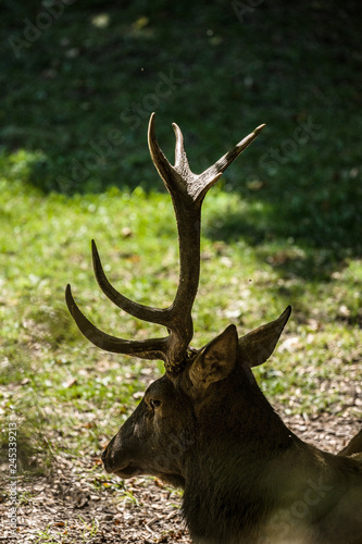 parco nazionale d abruzzo