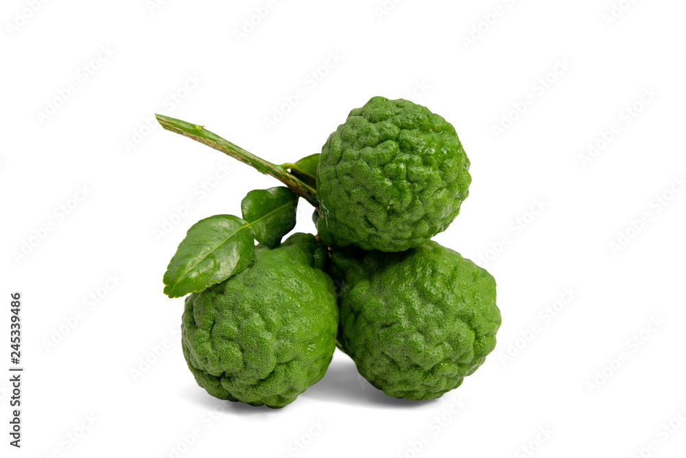 fresh bergamot with leaf isolated on white background.Herb fresh bergamot with leaf isolated on white background.Herb