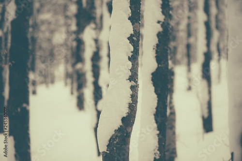 parco nazionale d'abruzzo