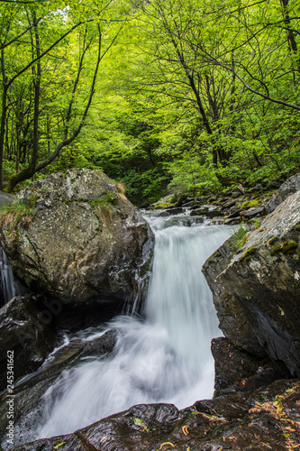 spring in the mountain, bulgaria