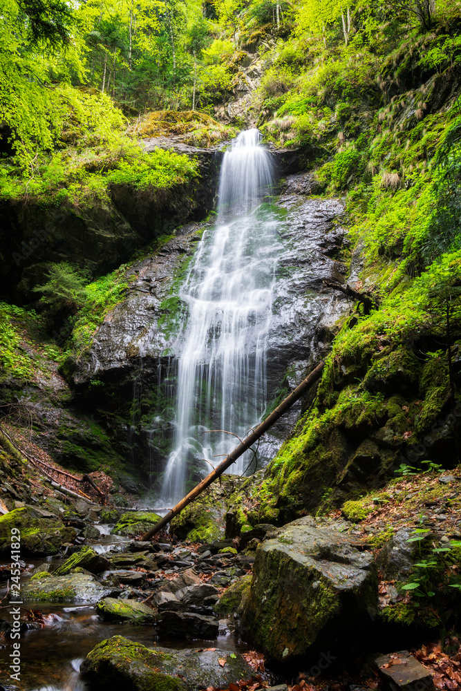 spring in the mountain, bulgaria