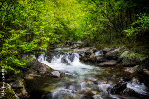 spring in the mountain, bulgaria