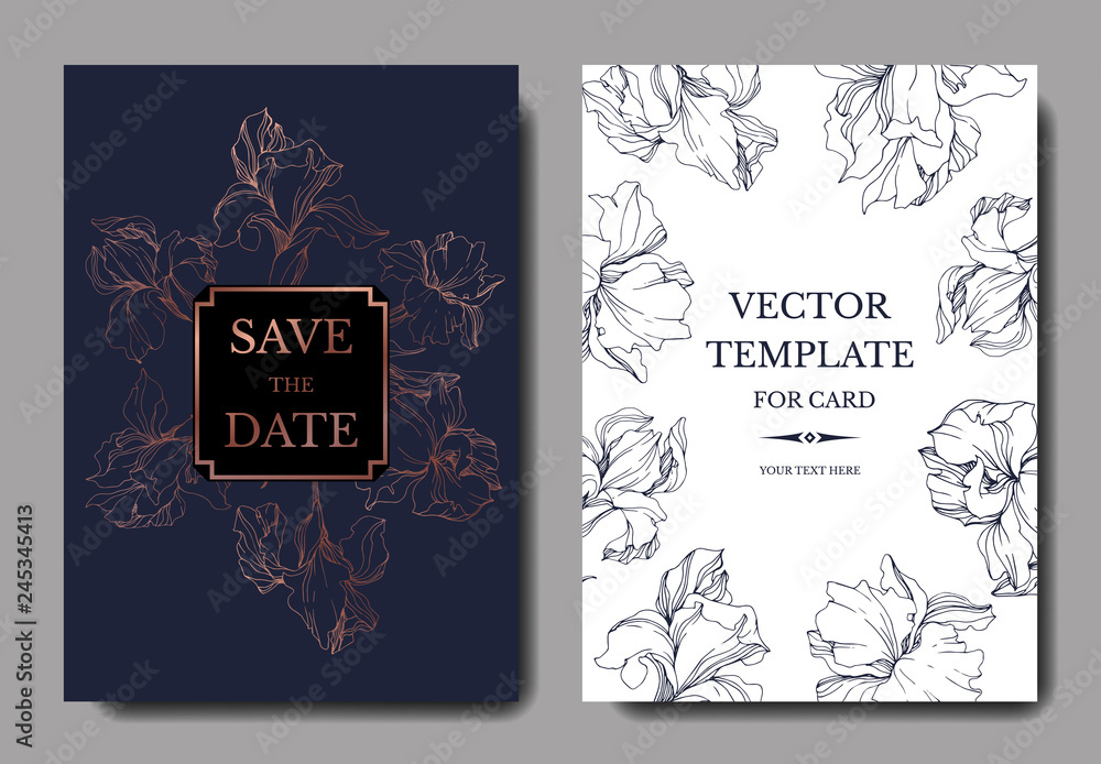Fototapeta premium Vector Blue and golden iris botanical flower. Engraved ink art. Wedding background card floral decorative border.