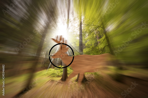 Fotografie Deer in the Rifle Sight - Hunting in the woods