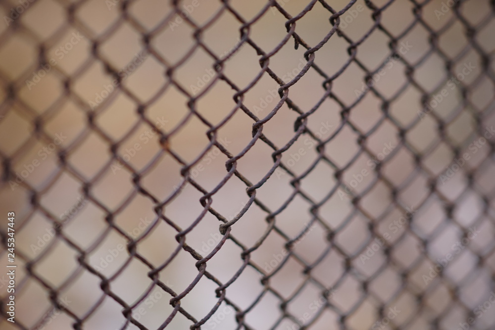 Fototapeta premium Old rusty mesh fence. Selective focus. Macro shot.