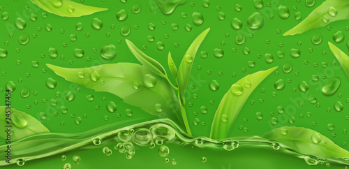 Drops. Green tea. 3d realistic vector