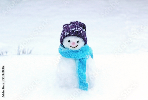smiling little snowman standing on a snow covered field © schapinskaja