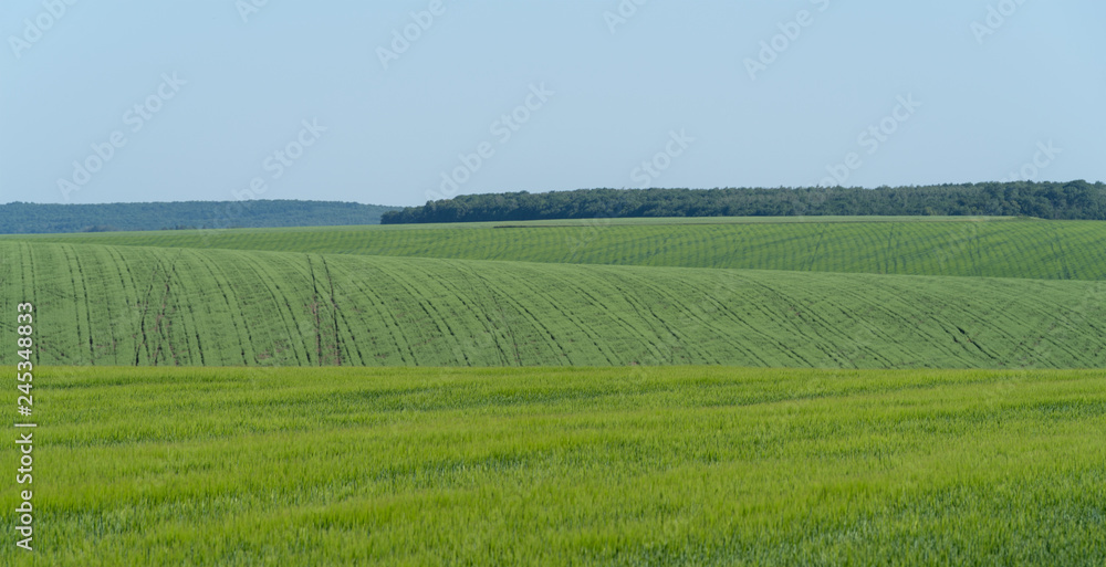 Agricultural landscape in Podolia region of Ukraine Agricultural landscape in Podolia region of Ukraine