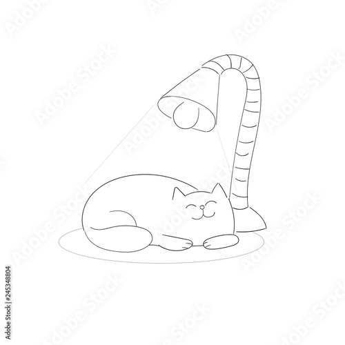 Cute cat draw illustration....