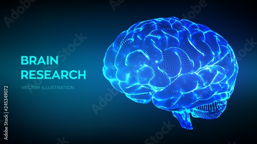 Brain. Human brain research. 3D Science and Technology concept. Neural network. IQ testing, artificial intelligence virtual emulation science technology. Brainstorm think idea. Vector illustration.