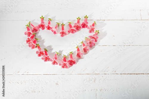 Small red spring flowers arrange in heart shape on white wooden background