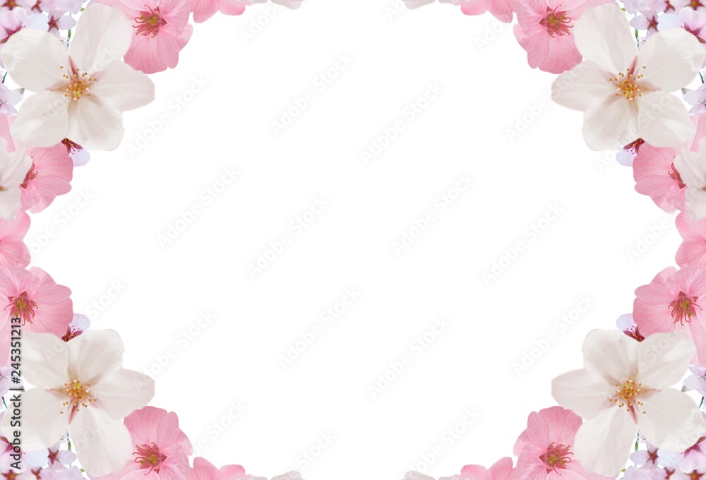 Sakura illustrations with a white background for wedding cards and Valentine
