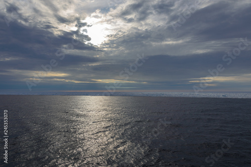 Arctic landscape - sea surface with ice floe