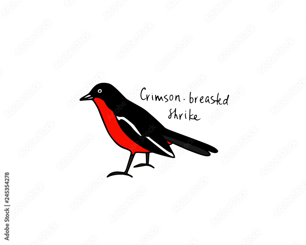 Fototapeta premium Hand drawn bird