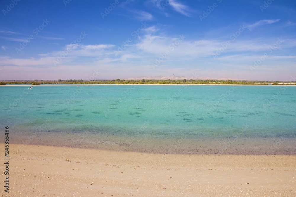 Sir Bani Yas island, United Arab Emirates (UAE), sea beach, Abu Dhabi, Persian Gulf
