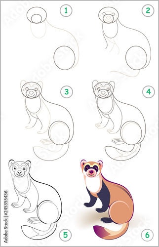 Educational page for kids shows how to learn step by step to draw a cute ferret. Back to school. Developing children skills for drawing and coloring. Vector cartoon image.