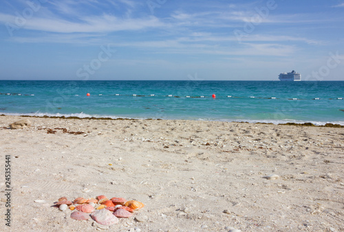 United Arab Emirates (UAE), cruise ship and shells on sea beach of Sir Bani Yas island, Abu Dhabi, Persian Gulf