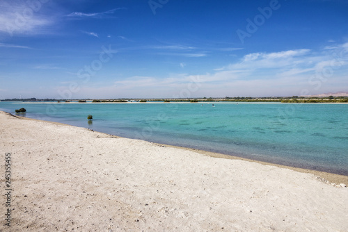 United Arab Emirates (UAE), Sir Bani Yas island sea beach, Abu Dhabi, Persian Gulf