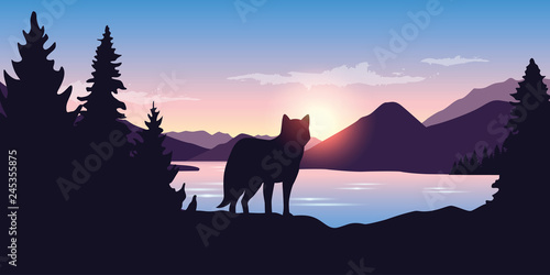 wolf looks into the distance of the mountain landscape at sunrise in purple colors vector illustration EPS10