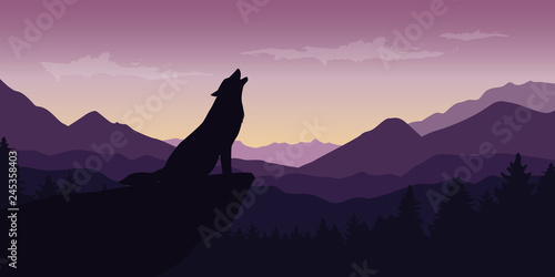 wolf at beautiful purple mountain wildlife nature landscape vector illustration EPS10