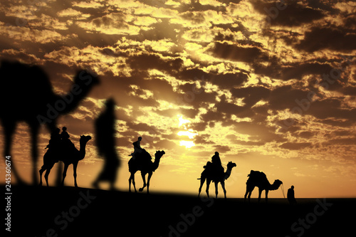 Caravan Walking with camel through Thar Desert in India, Show silhouette and dramatic sky