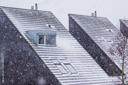 Принти на полотні pointy rooftops covered in snow during winter season, snowy weather, modern dutc