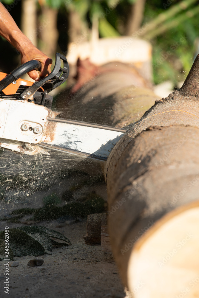 Worker cutting log with chainsaw